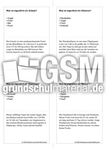 Quiz-Karten-Tiernamen 23.pdf